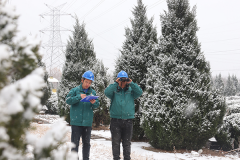 期近墨区2伏崂虎线 